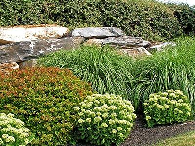 Landscaper Farmington, MI