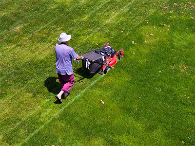 Lawn Care Franklin, MI