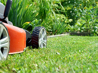 Lawn Maintenance